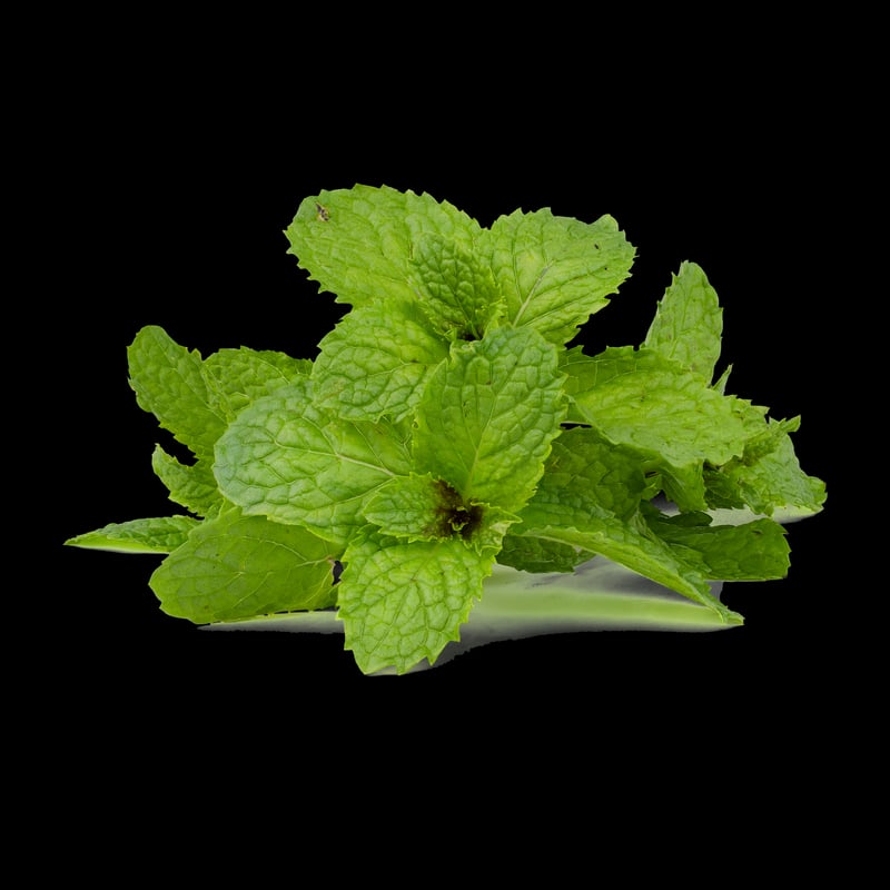 Minty Woodland Infusion